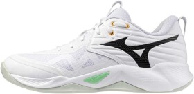 Mizuno Wave Momentum Pro V1GA254021