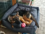 Lux nadýchaný pelech pro psa Barva: Černá, Rozměr (cm): 130 x 110