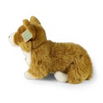 Plyšový pes corgi 32 cm, ECO-FRIENDLY
