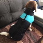 Slim-rainy obleček pro psa na zip Barva: Černo-červená, Délka zad (cm): 51, Obvod hrudníku: 74 - 80 cm