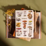 Sass & belle Notes Vintage Mushrooms A5, multi barva, papír