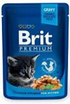 Brit Premium Cat 100g