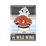 Wincraft Magnet Anaheim Ducks NHL Metal Magnet MASCOT
