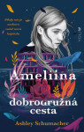 Ameliina dobrodružná cesta - Ashley Schumacher