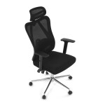 Kancelářská židle, houpací mechanismus, černá síťovina, KA-R216 BK