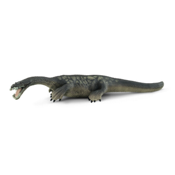 Nothosaurus