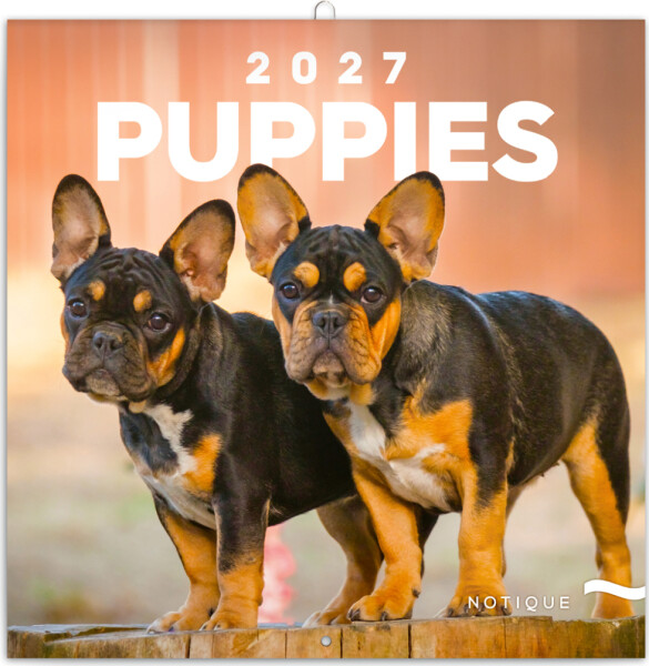 NOTIQUE Grid calendar Puppies 2027, 30 x 30 cm
