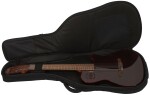 Godin Multiac Mundial Kanyon Burst