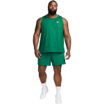 Pánské tričko Nike Club Tank, zelené, BQ1260 365 L