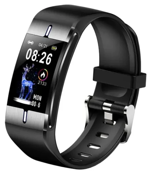Fit FW34 stříbrná / Chytré hodinky (MAXCOMFW34SILVER)