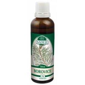 Naděje Tinktura z pupenů Borovice sosna 50ml