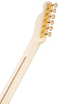 Fender Richie Kotzen Telecaster MN BSB