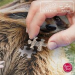 Puzzle Cherry Pazzi 500 dílků - Lesní průzkumník