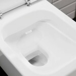 HANSGROHE - EluPura Q Závěsné WC se sedátkem SoftClose, Rimless, SmartClean, bílá 61117450