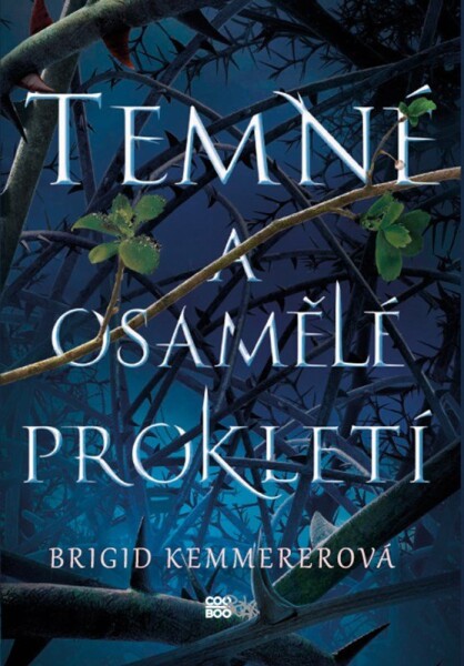 Temné osamělé prokletí Brigid Kemmererová