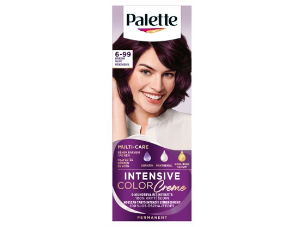Palette Intensive Color Creme barva na vlasy Intenzivní fialový 6-99