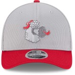 New Era Pánská kšiltovka Philadelphia Phillies MLB Colorway 2025 Batting Practice 9FORTY M-Crown Snapback