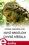 Když andělům chybí křídla - Hanka Hosnedlová e-kniha