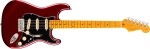 Fender American Professional Stratocaster MN OXB