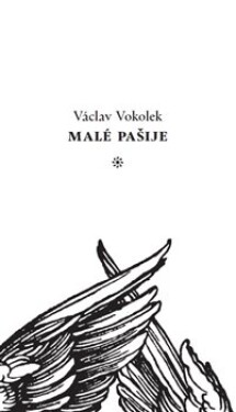 Malé pašije Václav Vokolek