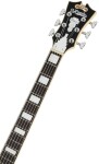 D'Angelico Double Cutaway Solid Body Sky Blue