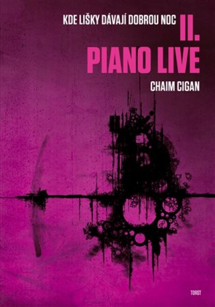 Piano live Chaim Cigan