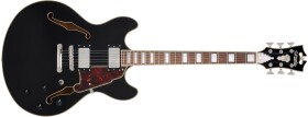 D'Angelico Premier DC Black