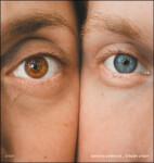 Sršeň - LP - Barbora Poláková