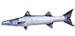 Gaby Polštář Barakuda Giant 110 cm,Gaby Polštář Barakuda Giant 110 cm