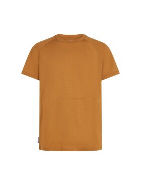 ICEBREAKER Mens Mer 200 Waffle Elevation SS Tee, Trail velikost: M