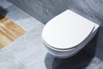 Duroplastové sedátko se zpomalovacím mechanismem AWD Interior Bolero 1443 AWD02181443