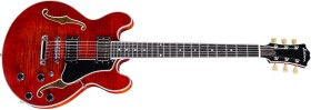 Eastman T484