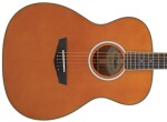 D'Angelico Tammany Orchestra E Vintage Natural
