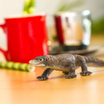 Safari Ltd. Safari Ltd. Figurka - Varan komodský