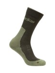 ICEBREAKER Mens Mer Hike+ Light Crew, Dark Loden/Lichen velikost: 42-44 (M)