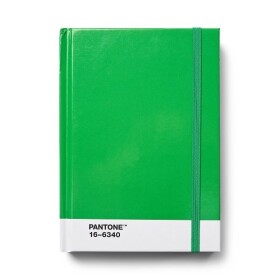 Pantone Zápisník tečkovaný S - Green 16-6340