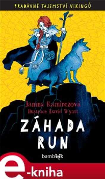 Záhada run. Pradávné tajemství Vikingů - Janina Ramirezová e-kniha