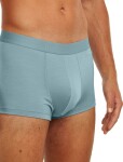 Pánské merino boxerky ICEBREAKER Mens 125 Cool-Lite Anatomica Trunks, Flint Blue velikost: XL