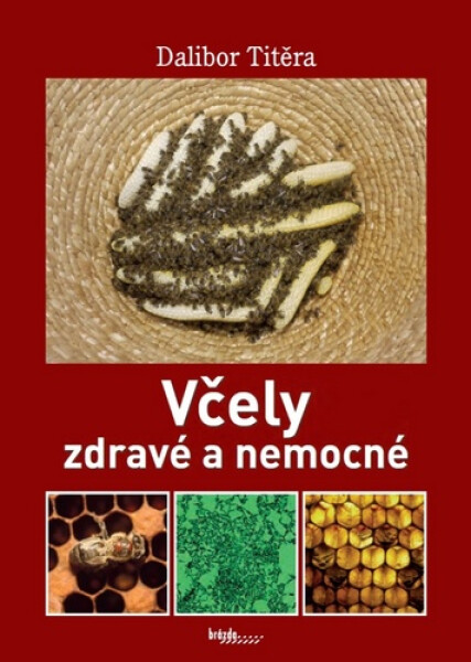 Včely zdravé a nemocné, 1. vydání - Dalibor Titěra