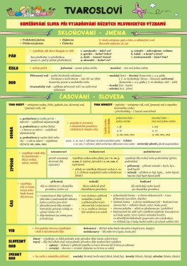 Český jazyk Tvarosloví Zuzana Hladíková