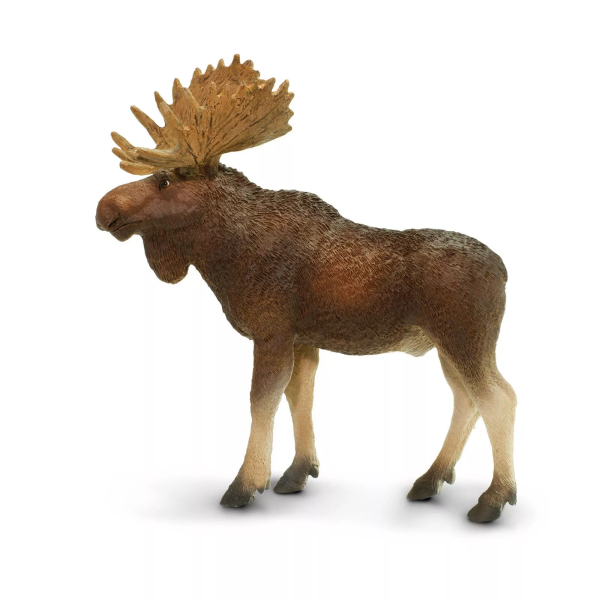 Safari Ltd. Safari Ltd. Figurka - Los evropský