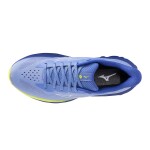Běžecké boty Mizuno WAVE SKYRISE 7 J1GD260921 Velikost obuvi v EU: 42