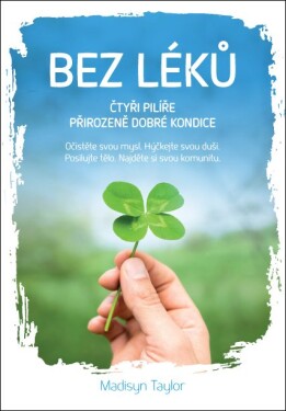 Bez léků - Čtyři pilíře přirozeně dobré kondice - Madisyn Taylorová