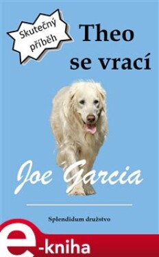 Theo se vrací - Joe Garcia e-kniha