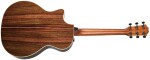 Taylor 814ce Special Edition Sitka Sapphire Top