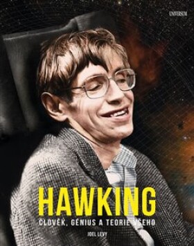 Hawking Joel Levy