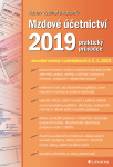 Mzdové účetnictví 2019 - Václav Vybíhal