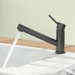Dřezová baterie Villeroy & Boch Como Shower, 92520005, antracit 92520005