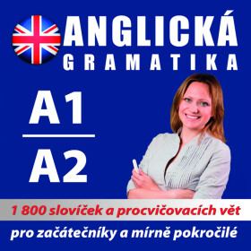 Anglická gramatika 1 - koletiv autorů