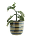 MADAM STOLTZ Keramický obal na květiny Dijon/Black 18 cm, hnědá barva, keramika